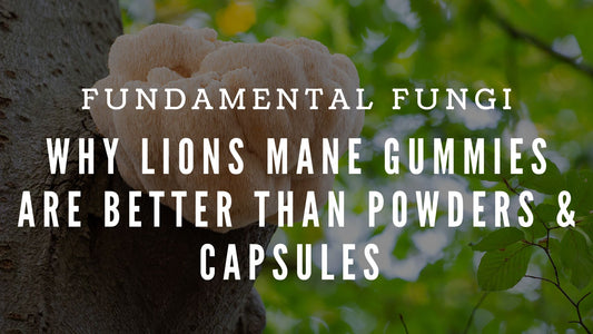 Why Lions Mane Gummies Are Better Than Powders & Capsules