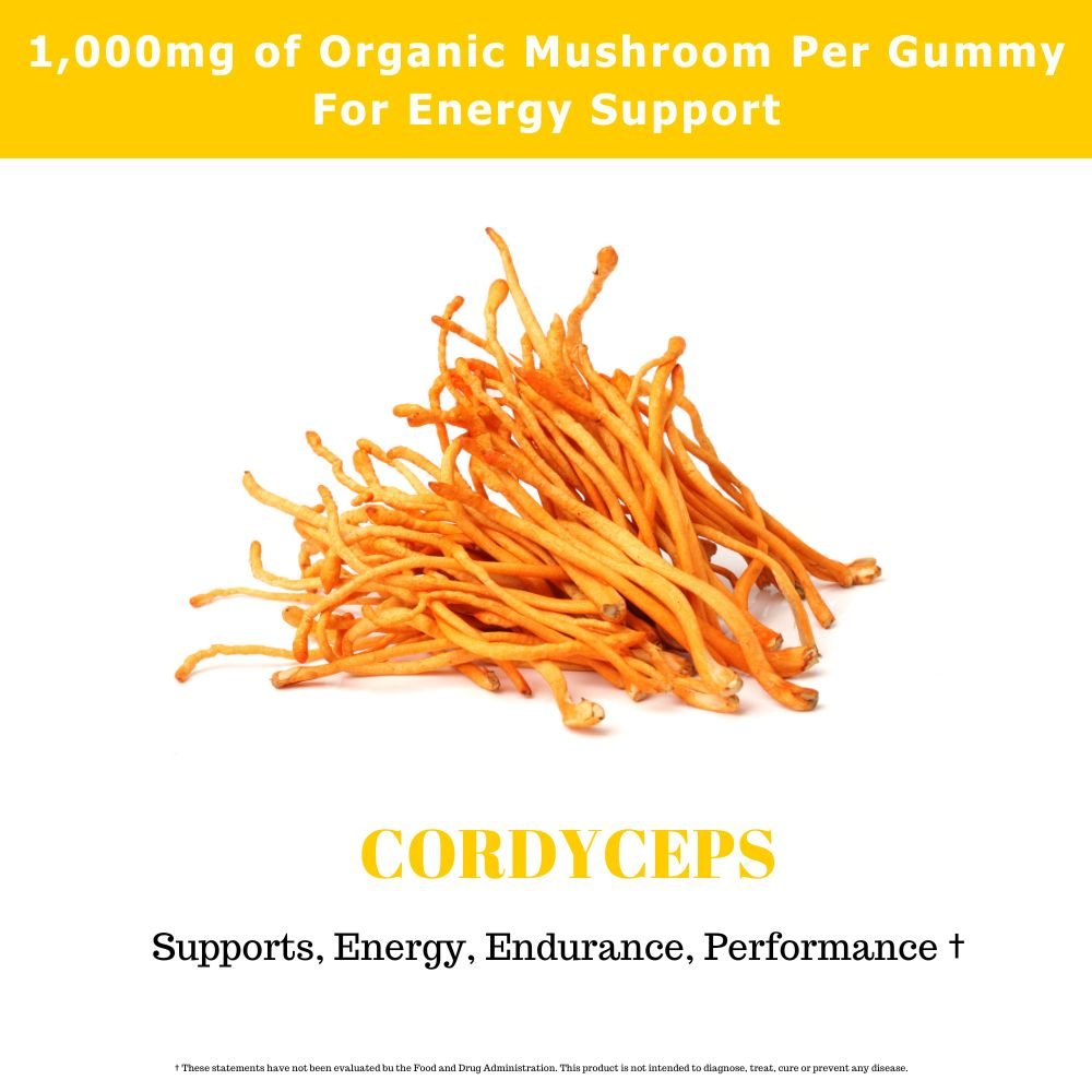 Cordyceps Energy Mushroom Gummies (90 Count) - Fundamental Fungi