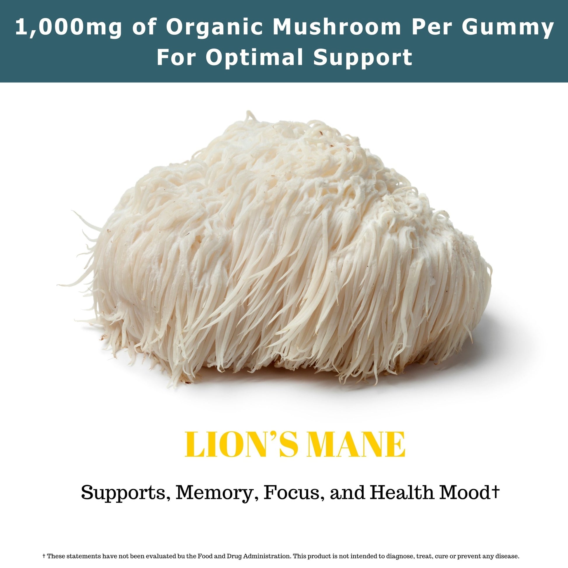 Lion's Mane Focus Mushroom Gummies (90 Count) - Fundamental Fungi