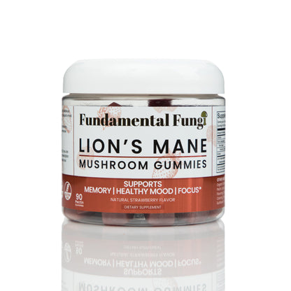 Lion's Mane mushroom gummies 90-count bottle, part of the Focus + Energy bundle