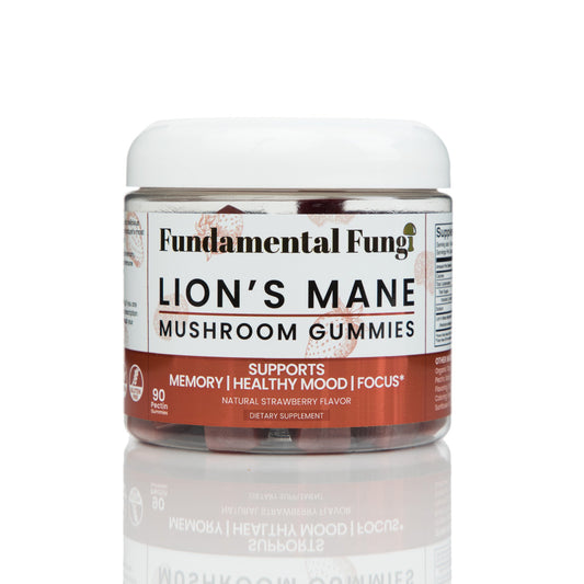 Lion's Mane mushroom gummies 90-count bottle, part of the Focus + Energy bundle